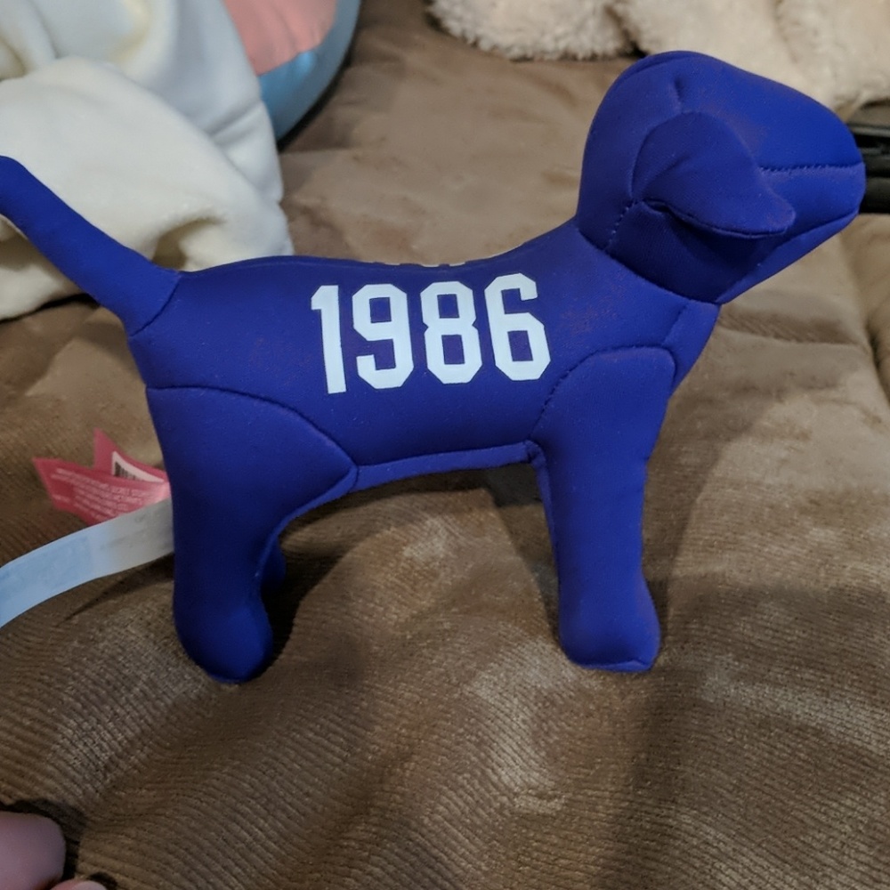 VS PINK Dog (two)